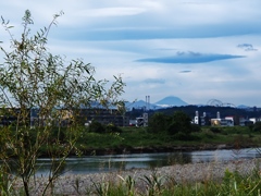 多摩川と富士山