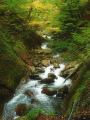 沢