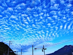 うろこ雲と桜島