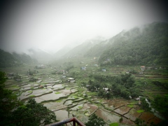 雨の Hapao Rice Terraces 。横向き。 
