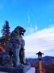 強そうな犬