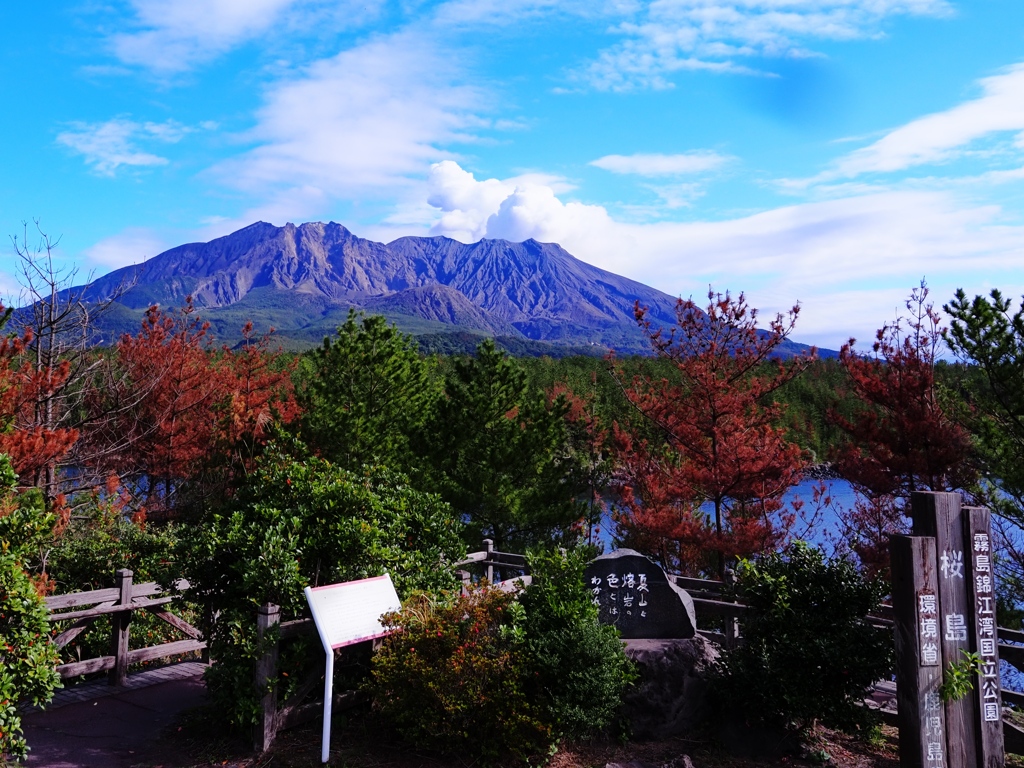 桜島の公園には句碑が多かった