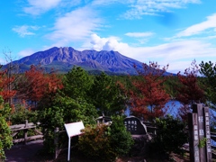 桜島の公園には句碑が多かった