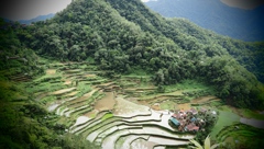 Bangaan Rice Terraces
