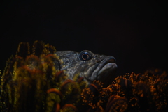 水族館での1枚