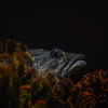 水族館での1枚