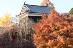 紅葉と上田城跡