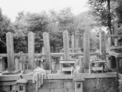 成人の日の京都巡礼　長州志士のお墓にお参り