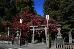 渋川八幡宮