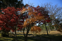 モミジと鶴ヶ城