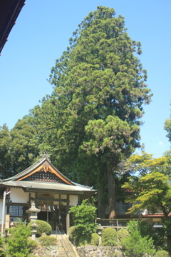 みなかみ三峰神社　
