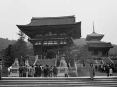 成人の日の京都巡礼　清水寺仁王門