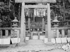 成人の日の京都巡礼　坂本竜馬・中岡慎太郎の墓にお参り