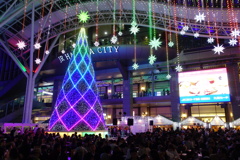 DSC00711