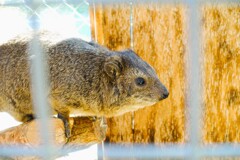 動物園