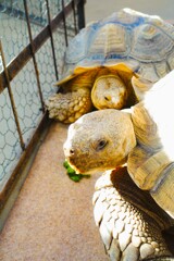 動物園