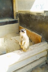 動物園