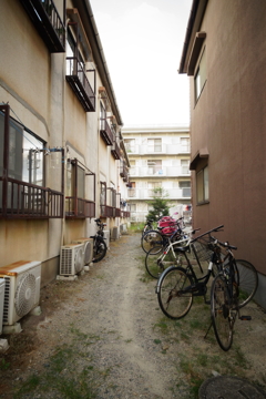 DSC00106