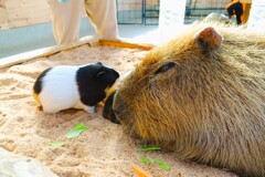動物園