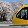LRTと桜