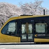 LRTと桜