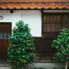 倉吉白壁土蔵群・赤瓦の街歩き