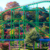 緑のコースターと赤い紅葉