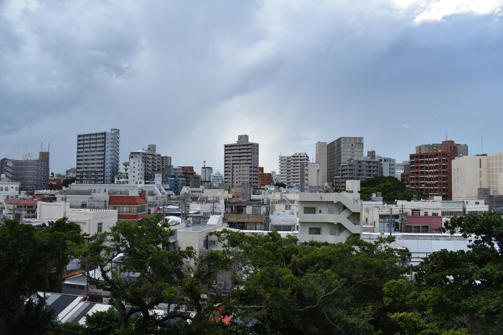 この光景もいつかは見れなくなるかも