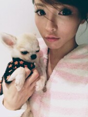 釈由美子さんと愛犬のチワワ