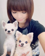 釈由美子さんと愛犬のチワワ