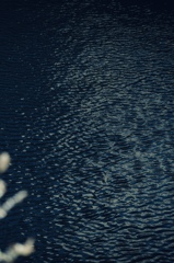 水の流れ