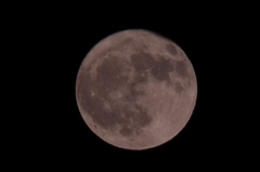CSC_0108