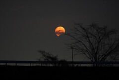 十三夜の月ワームムーン