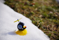 雪解け