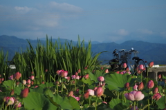 親子で撮影