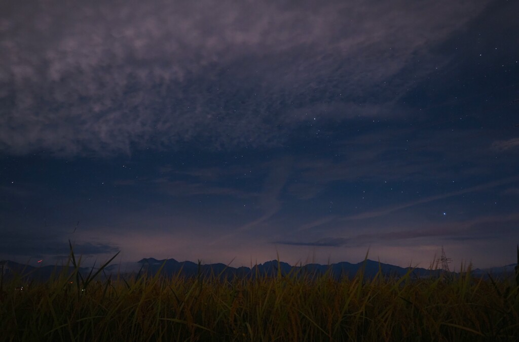 色つく稲穂と星空