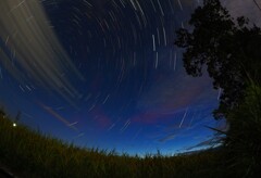 色つく稲穂と星軌跡