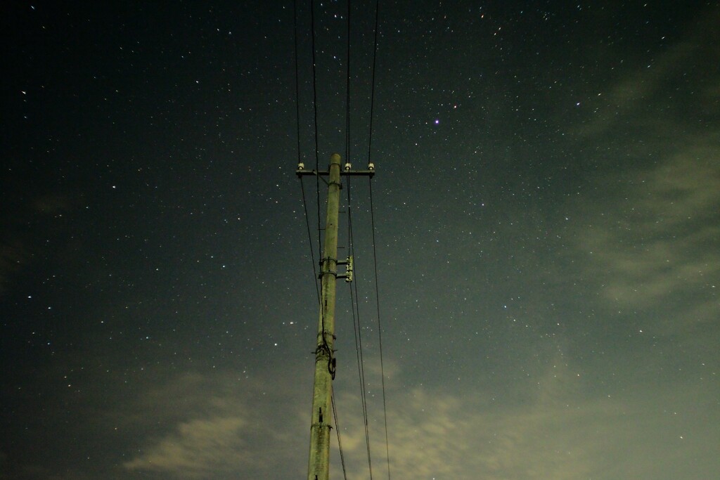 夜の電柱
