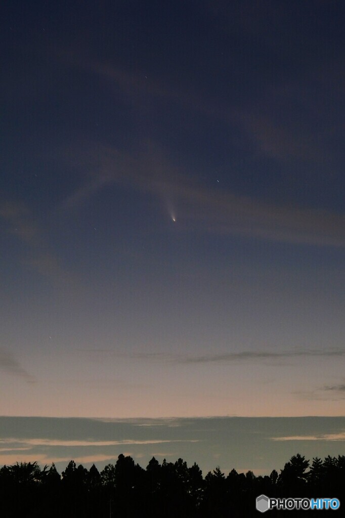 アトラス彗星