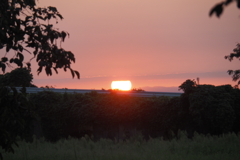 沈みゆく夕陽