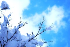 大雪の合間の青空
