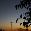 夕暮れ輝く金星