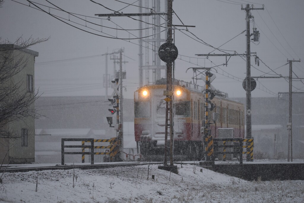 久々の雪2
