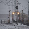 久々の雪2