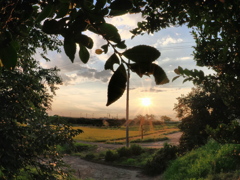 夕暮れ小道