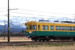 立山あーとれいん(通称、かぼちゃ電車)