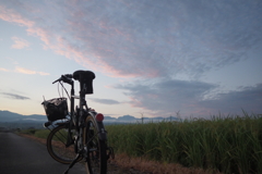 撮影のともは、自転車２