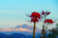 彼岸花の向こうの剣岳