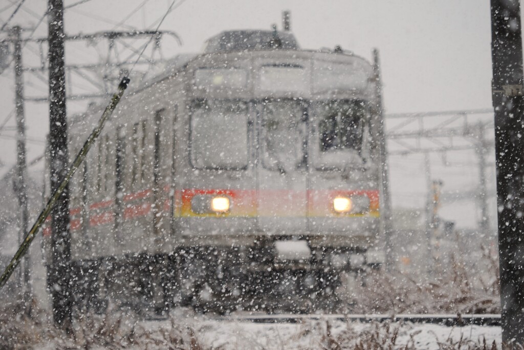 久々の雪