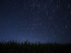 稲穂と星空２